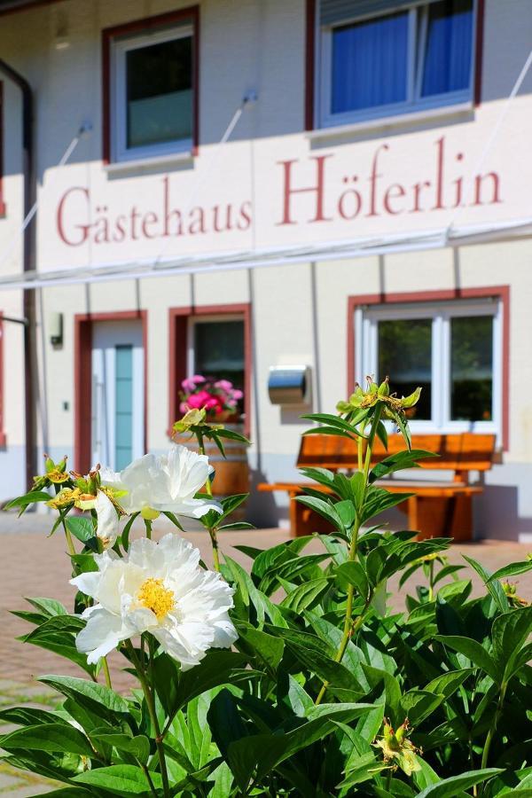 Gaestehaus Hoeferlin Bad Bellingen Exterior foto